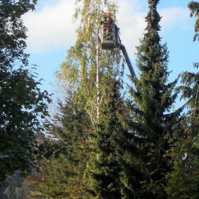 Baumschnitt Oberösterreich kompostieren.at