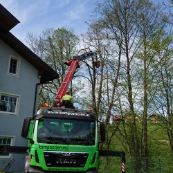 Grünschnitt Mondseeland Baumschneiden 2 kompostieren.at