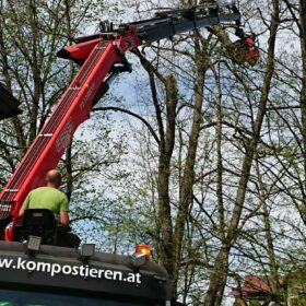 Grünschnitt Mondseeland Baumschneiden 3 kompostieren.at