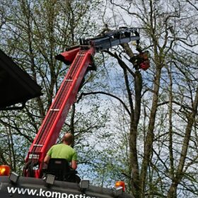 Grünschnitt Mondseeland Baumschneiden 4 kompostieren.at