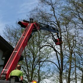 Grünschnitt Mondseeland Baumschneiden 6 kompostieren.at