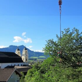 kran baumfällen baumschnitt kompostieren.at