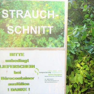 strauchschnitt mondsee selbst anliefern