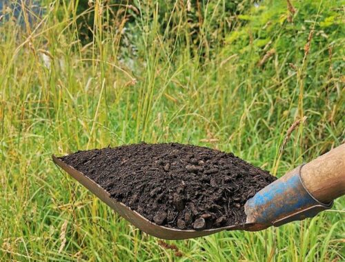 Kompost Gartenmischung 2 Qualitätskompost kompostieren.at